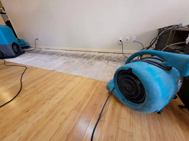 Professional Ceiling Water Damage Repair technician working in Acton, CA